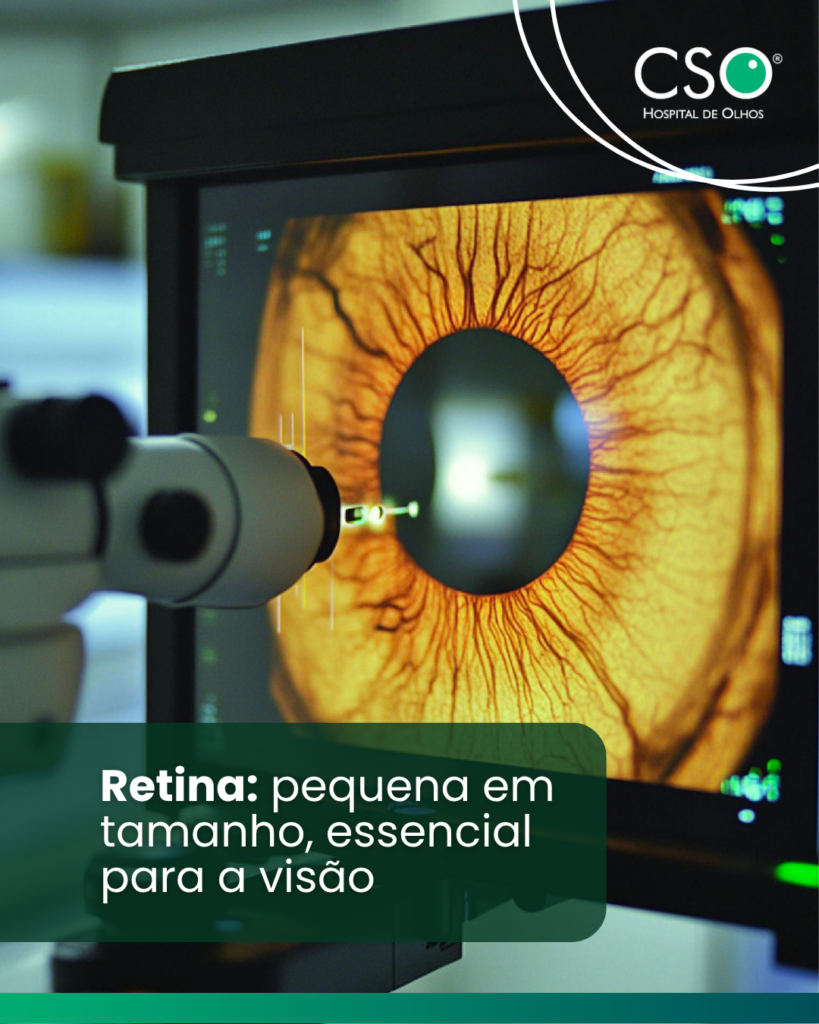 Retina: pequena em tamanho, essencial para a visão A retina é uma fina camada localizada no fundo do olho e tem uma função indispensável: captar a luz e transformar essas informações em sinais que serão interpretados pelo cérebro.