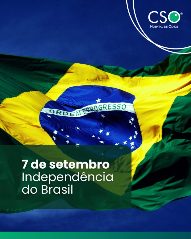 Independência do Brasil Hoje celebramos a Independência do Brasil e tudo o que construímos como país ao longo da nossa história.